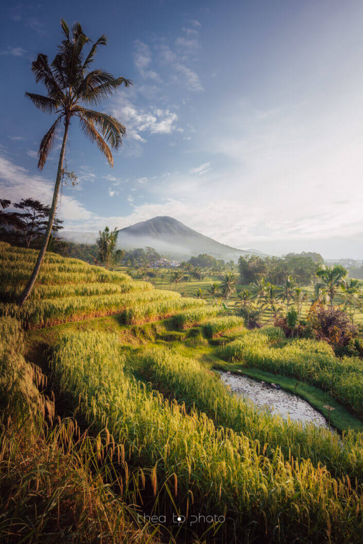 Mountain and ricefields in Bali